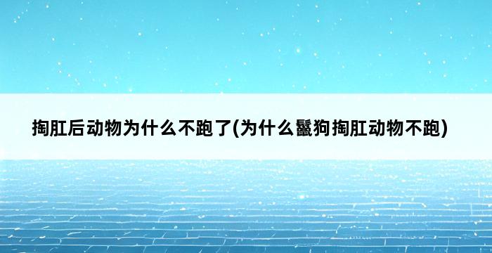 掏肛后动物为什么不跑了(为什么鬣狗掏肛动物不跑) 