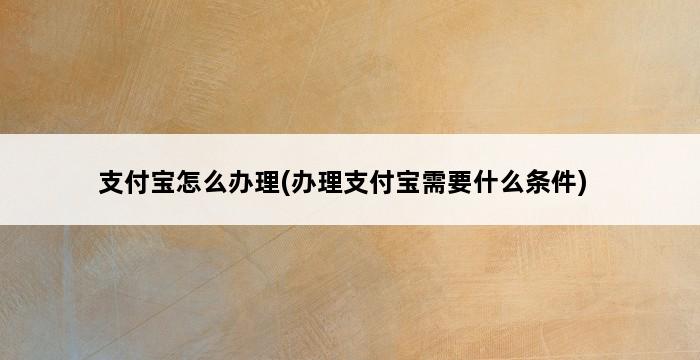 支付宝怎么办理(办理支付宝需要什么条件) 