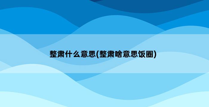 整肃什么意思(整肃啥意思饭圈) 