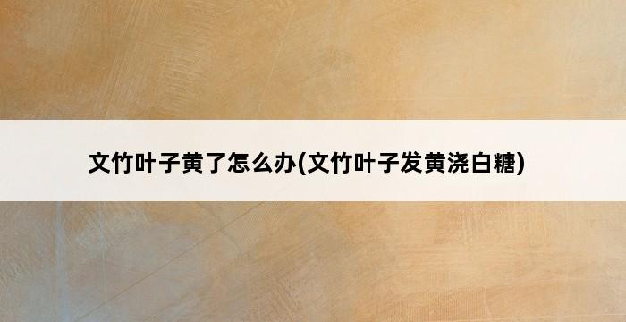 文竹叶子黄了怎么办(文竹叶子发黄浇白糖) 