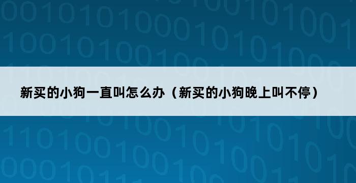 新买的小狗一直叫怎么办（新买的小狗晚上叫不停） 