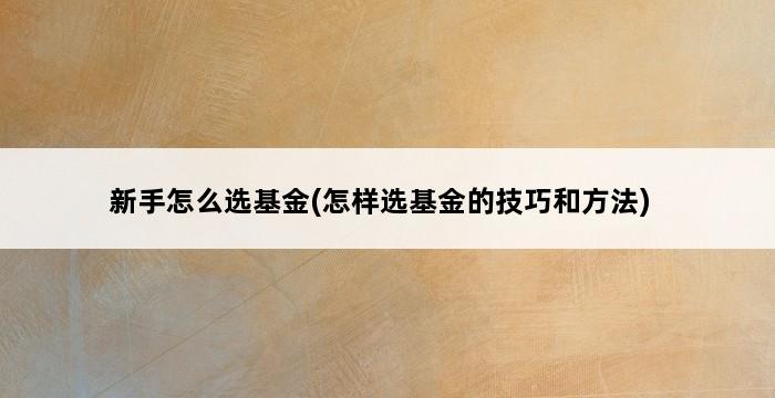 新手怎么选基金(怎样选基金的技巧和方法) 