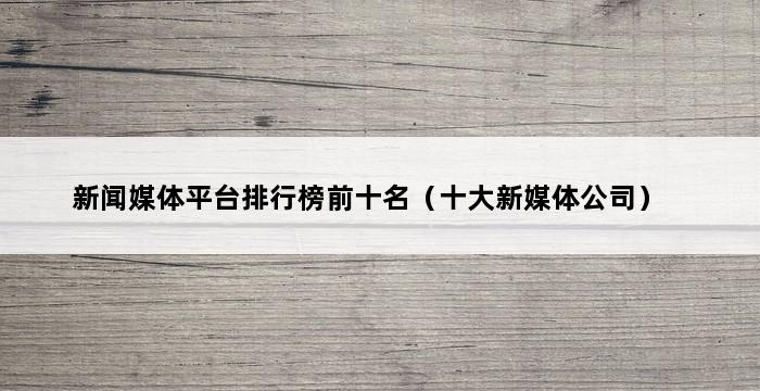 新闻媒体平台排行榜前十名（十大新媒体公司） 