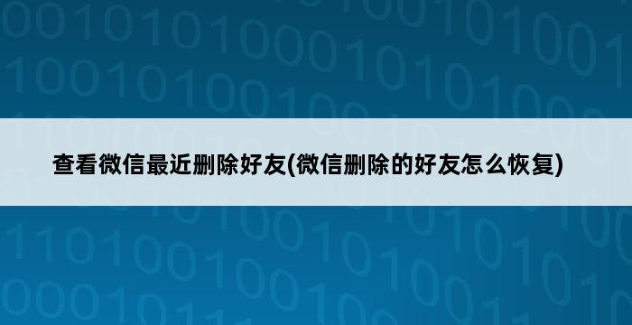 查看微信最近删除好友(微信删除的好友怎么恢复) 