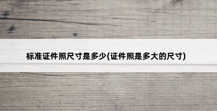 标准证件照尺寸是多少(证件照是多大的尺寸) 