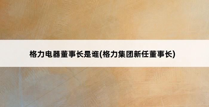 格力电器董事长是谁(格力集团新任董事长) 