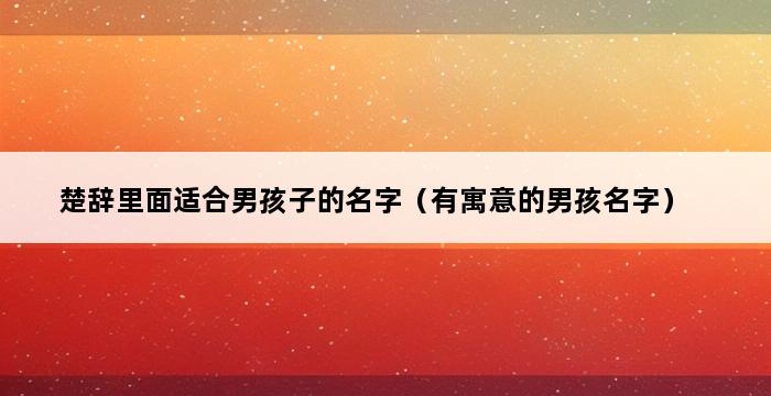 楚辞里面适合男孩子的名字（有寓意的男孩名字） 