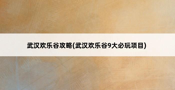 武汉欢乐谷攻略(武汉欢乐谷9大必玩项目) 