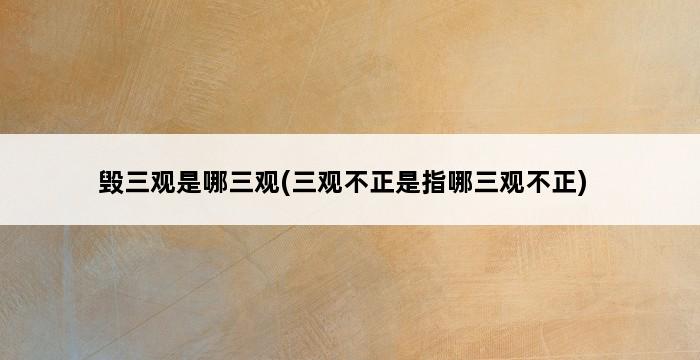 毁三观是哪三观(三观不正是指哪三观不正) 