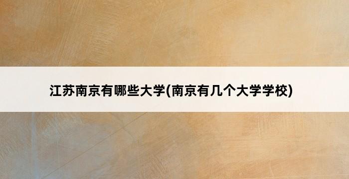 江苏南京有哪些大学(南京有几个大学学校) 