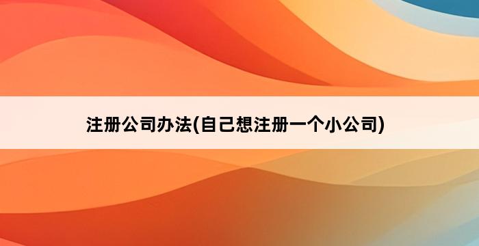 注册公司办法(自己想注册一个小公司) 