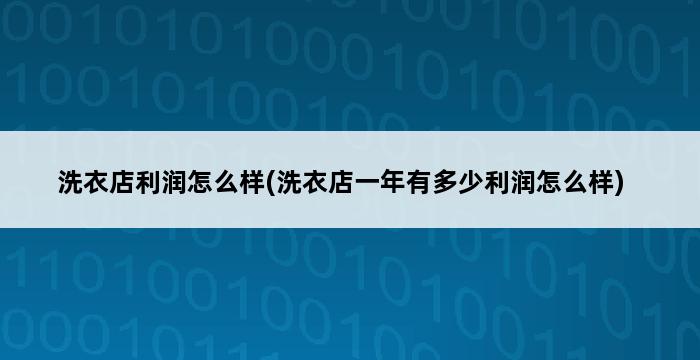 洗衣店利润怎么样(洗衣店一年有多少利润怎么样) 