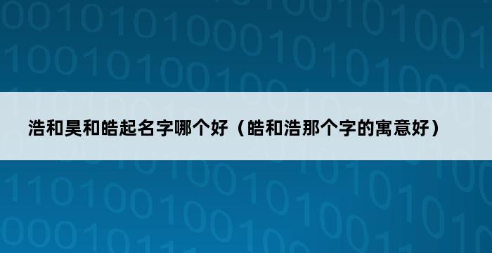 浩和昊和皓起名字哪个好（皓和浩那个字的寓意好） 