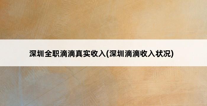 深圳全职滴滴真实收入(深圳滴滴收入状况) 