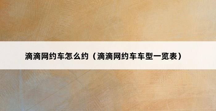 滴滴网约车怎么约（滴滴网约车车型一览表） 