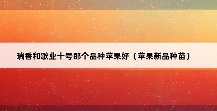 瑞香和歌业十号那个品种苹果好（苹果新品种苗） 