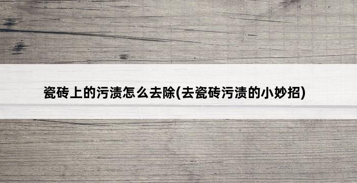 瓷砖上的污渍怎么去除(去瓷砖污渍的小妙招) 