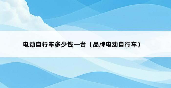 电动自行车多少钱一台（品牌电动自行车） 