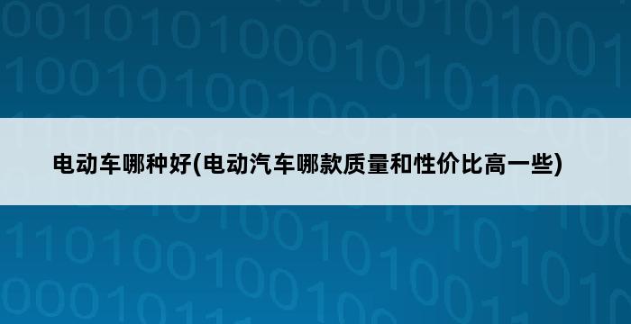 电动车哪种好(电动汽车哪款质量和性价比高一些) 