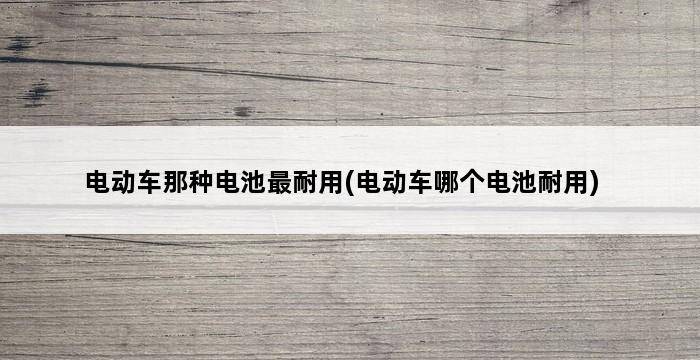 电动车那种电池最耐用(电动车哪个电池耐用) 