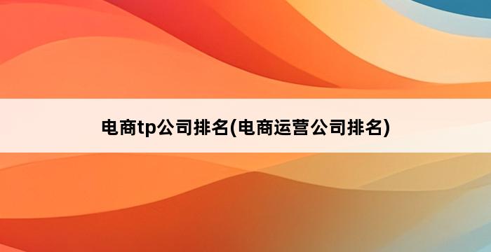 电商tp公司排名(电商运营公司排名) 