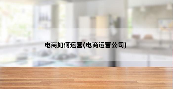 电商如何运营(电商运营公司) 