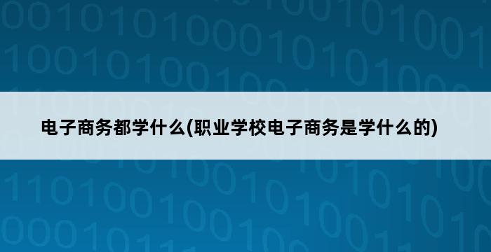 电子商务都学什么(职业学校电子商务是学什么的) 