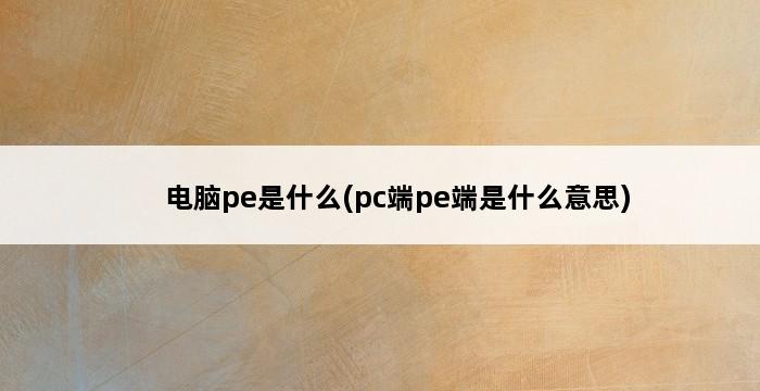 电脑pe是什么(pc端pe端是什么意思) 