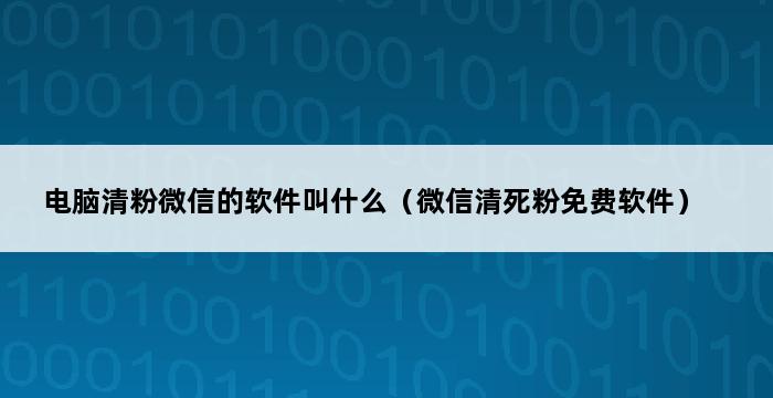 电脑清粉微信的软件叫什么（微信清死粉免费软件） 