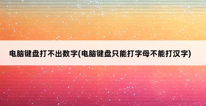 电脑键盘打不出数字(电脑键盘只能打字母不能打汉字) 