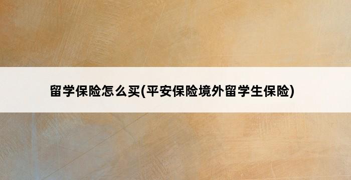 留学保险怎么买(平安保险境外留学生保险) 