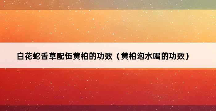 白花蛇舌草配伍黄柏的功效（黄柏泡水喝的功效） 