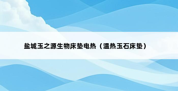 盐城玉之源生物床垫电热（温热玉石床垫） 