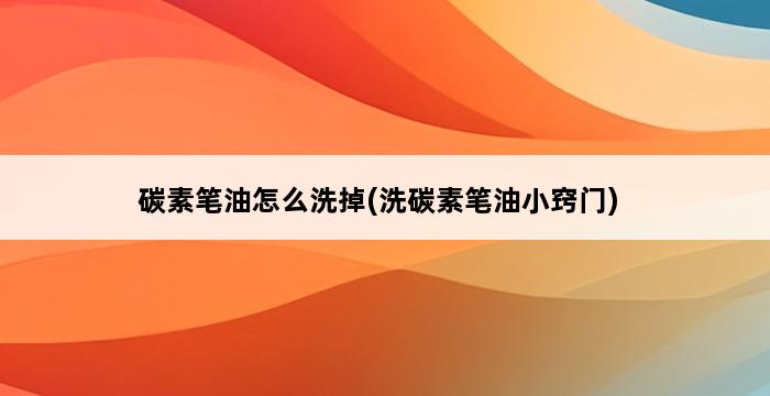 碳素笔油怎么洗掉(洗碳素笔油小窍门) 