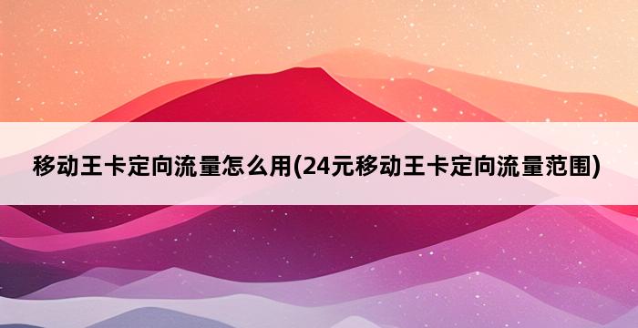 移动王卡定向流量怎么用(24元移动王卡定向流量范围) 