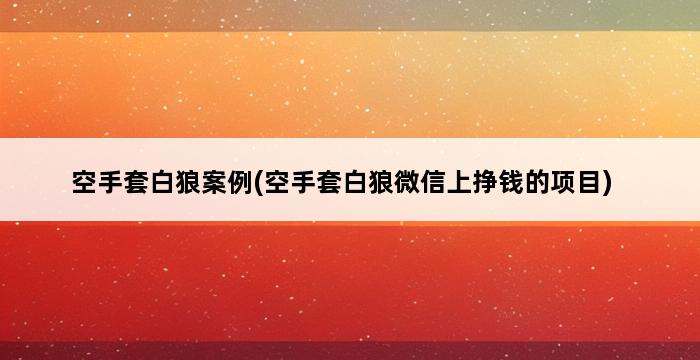 空手套白狼案例(空手套白狼微信上挣钱的项目) 