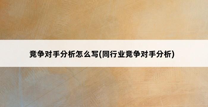 竞争对手分析怎么写(同行业竞争对手分析) 