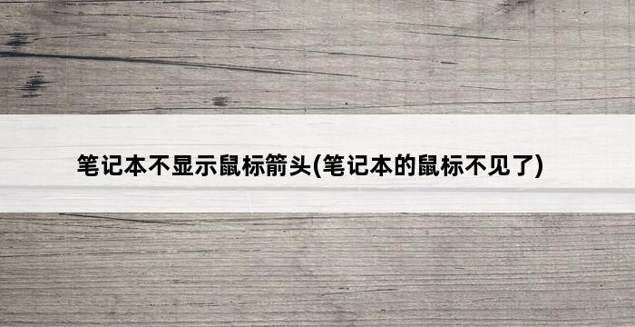 笔记本不显示鼠标箭头(笔记本的鼠标不见了) 