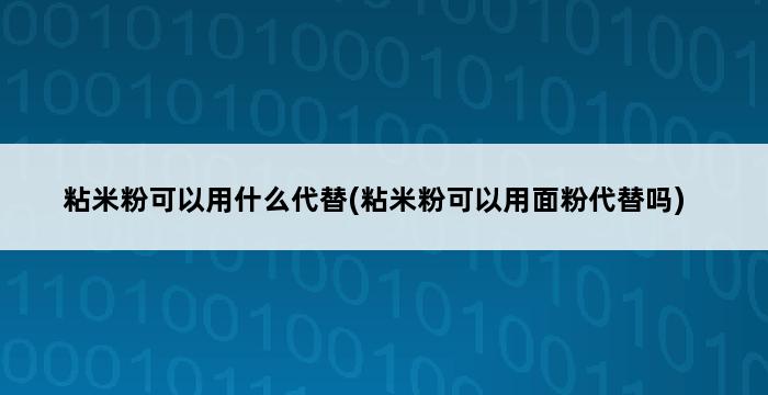 粘米粉可以用什么代替(粘米粉可以用面粉代替吗) 