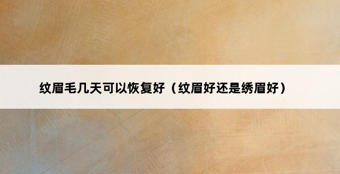 纹眉毛几天可以恢复好（纹眉好还是绣眉好） 