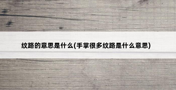 纹路的意思是什么(手掌很多纹路是什么意思) 