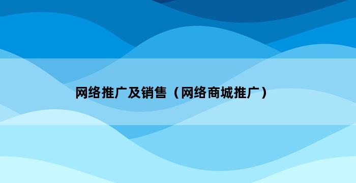 网络推广及销售（网络商城推广） 