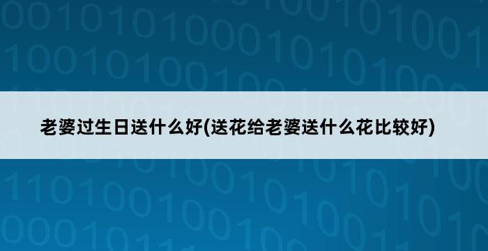 老婆过生日送什么好(送花给老婆送什么花比较好) 