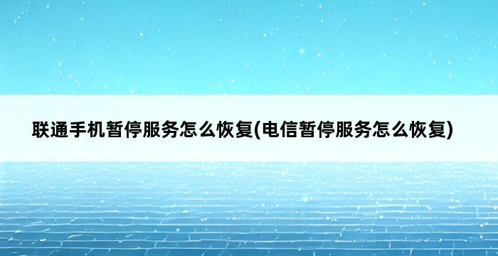 联通手机暂停服务怎么恢复(电信暂停服务怎么恢复) 