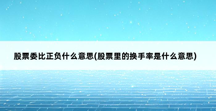 股票委比正负什么意思(股票里的换手率是什么意思) 