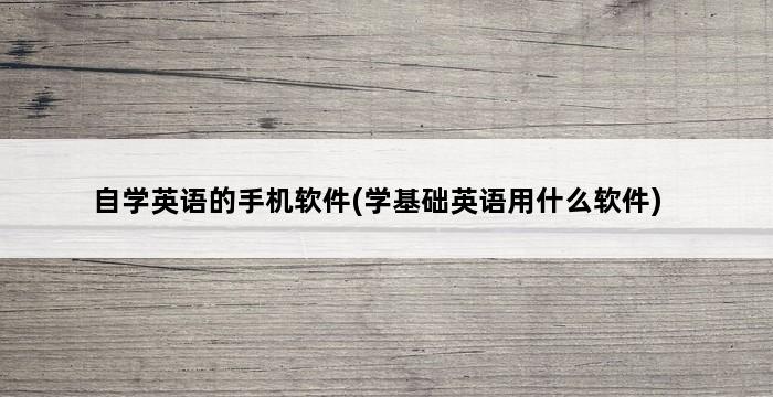 自学英语的手机软件(学基础英语用什么软件) 