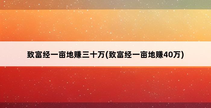 致富经一亩地赚三十万(致富经一亩地赚40万) 