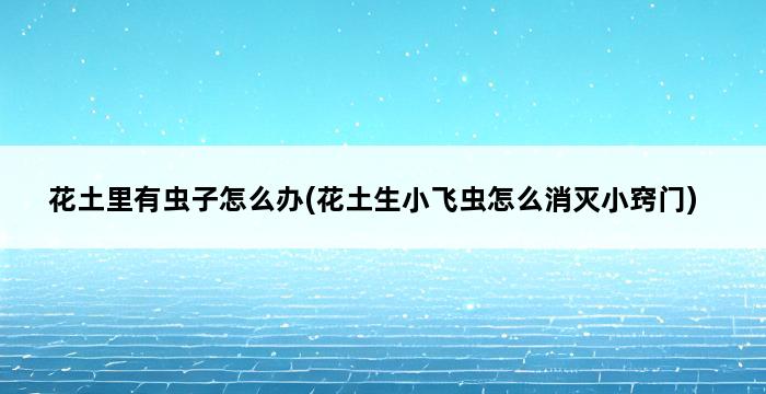 花土里有虫子怎么办(花土生小飞虫怎么消灭小窍门) 