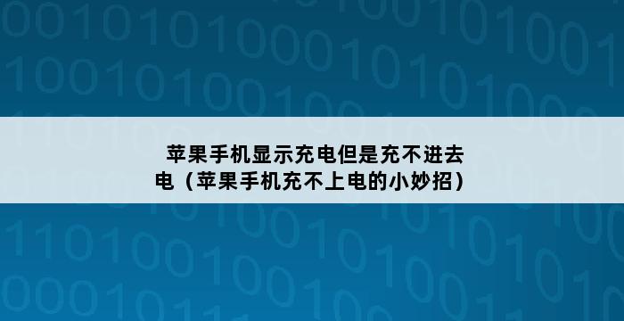 苹果手机显示充电但是充不进去电（苹果手机充不上电的小妙招） 