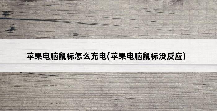 苹果电脑鼠标怎么充电(苹果电脑鼠标没反应) 